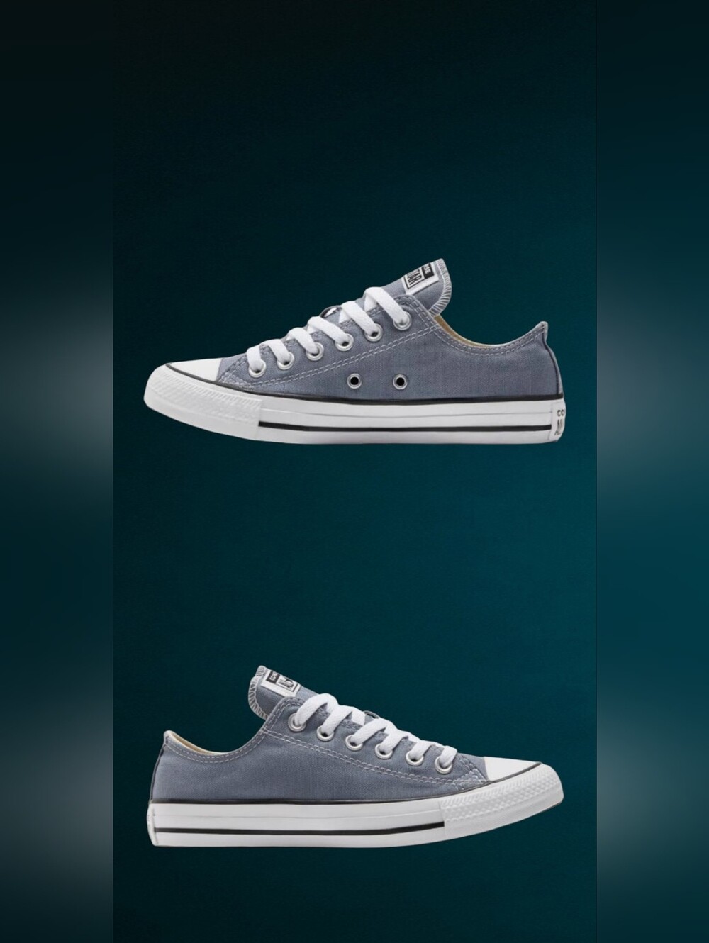 Converse Chuck Taylor All Star Seasonal - Picture 5 of 7